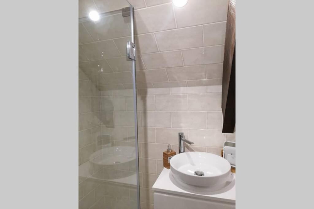 Ficus Aurea Daire Aveiro Dış mekan fotoğraf